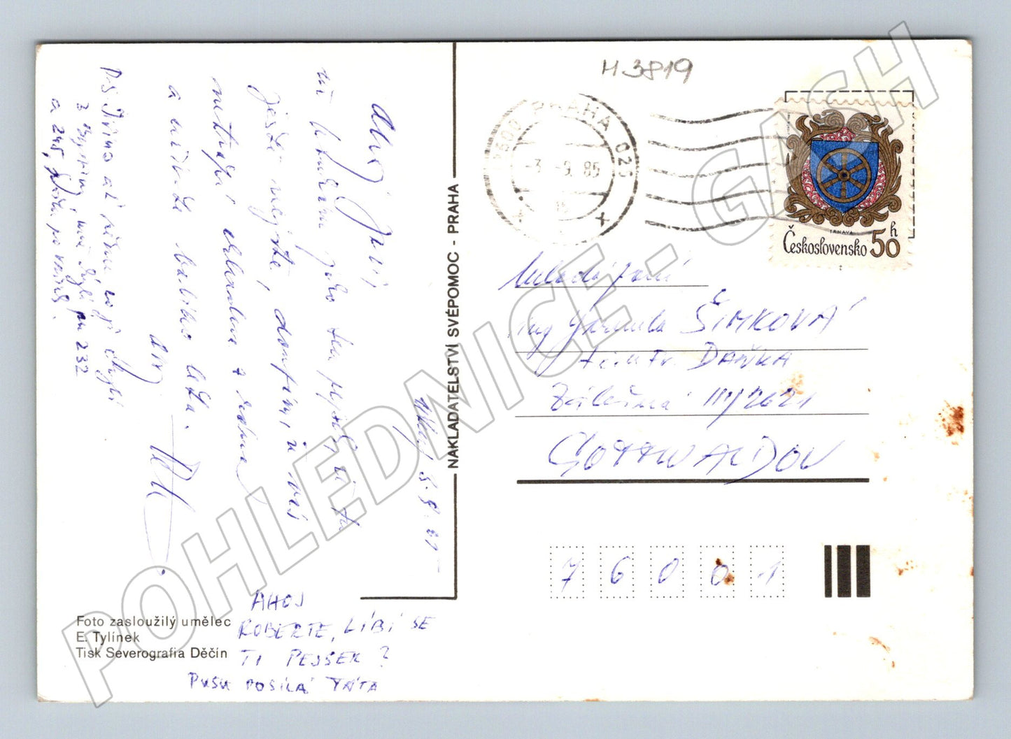 Pohlednice baset – štěně psa (M3819)