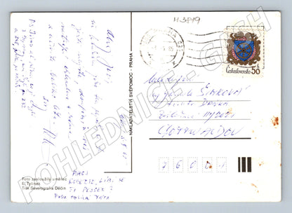 Pohlednice baset – štěně psa (M3819)