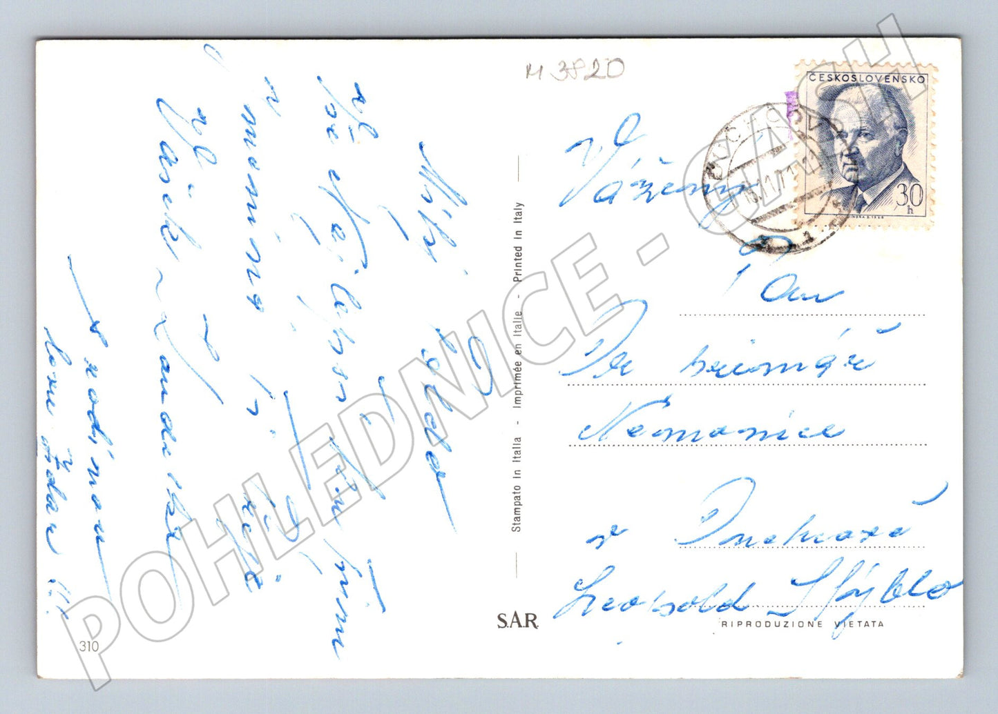 Pohlednice bígl – portrét psa (M3820)