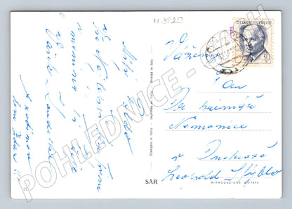 Pohlednice bígl – portrét psa (M3820)