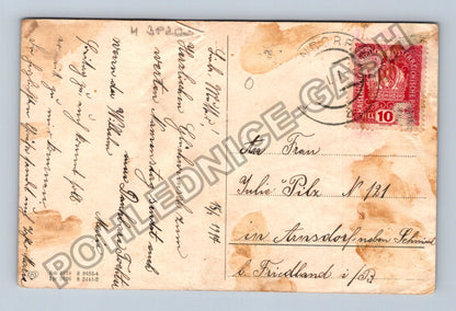 Pohlednice Rakousko kytice fialek stuha nápis Ewig Dein 1914 (M38203)