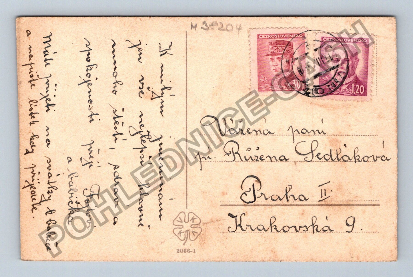 Pohlednice Srdečné blahopřání kytice fialek a petrklíčů (M38204)