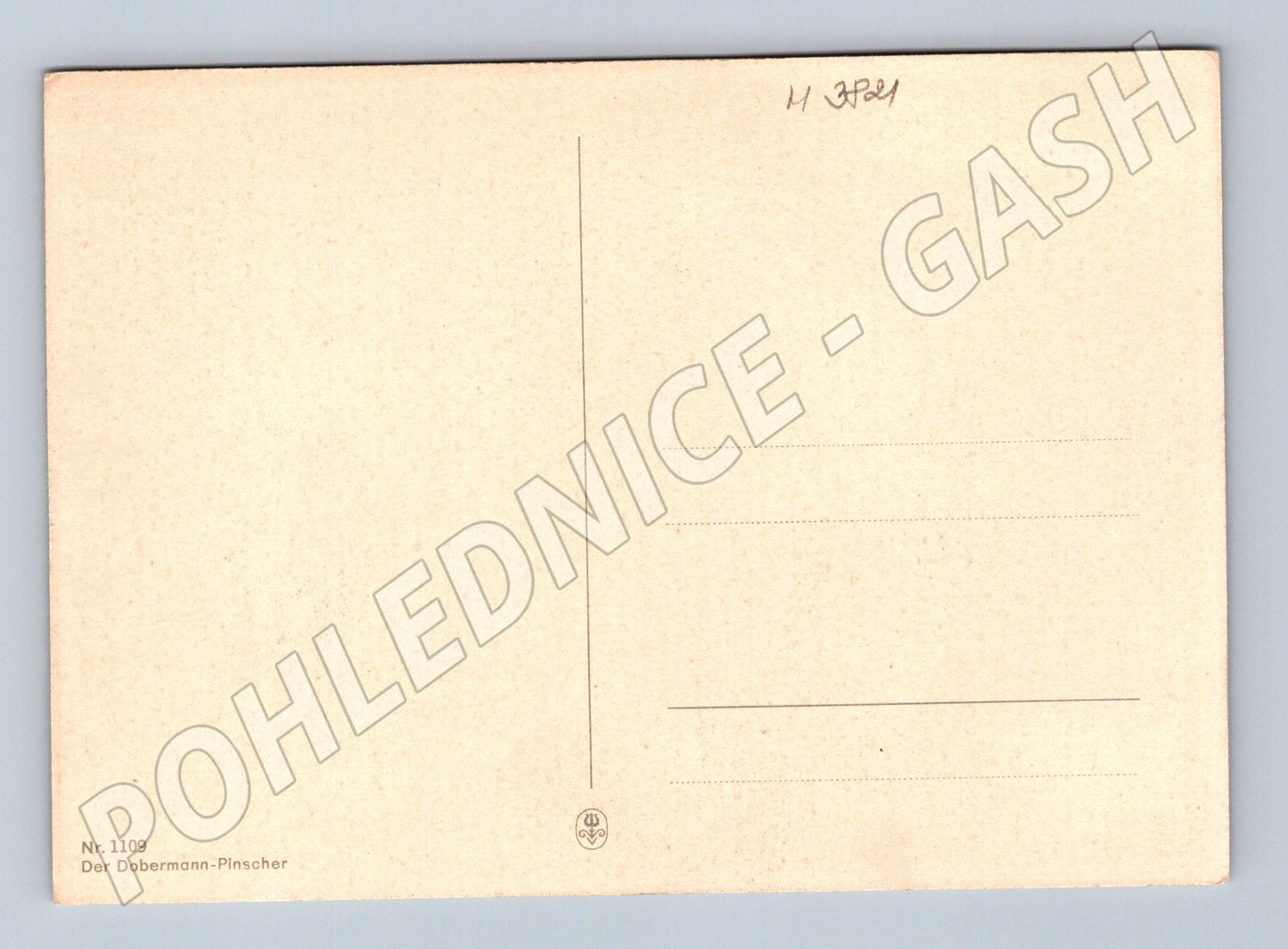 Pohlednice dobermann – barevný portrét psa (M3821)