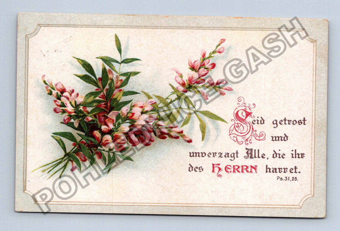 Pohlednice Švýcarsko květiny biblický citát (M38212)