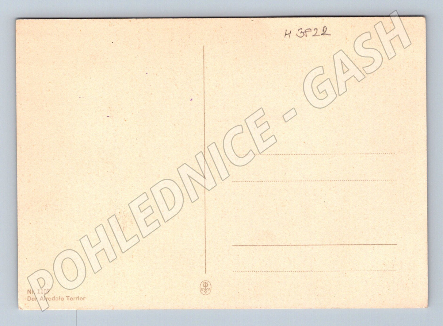 Pohlednice airedale teriér – portrét psa (M3822)