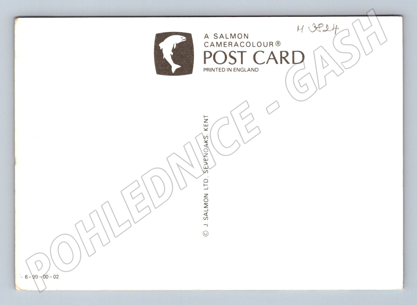 Pohlednice psi – kolie a lovecká plemena (M3824)