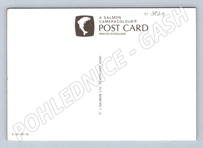 Pohlednice psi – kolie a lovecká plemena (M3824)