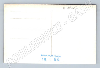 Pohlednice pes – foto Pajo Praha, čb (M3825)