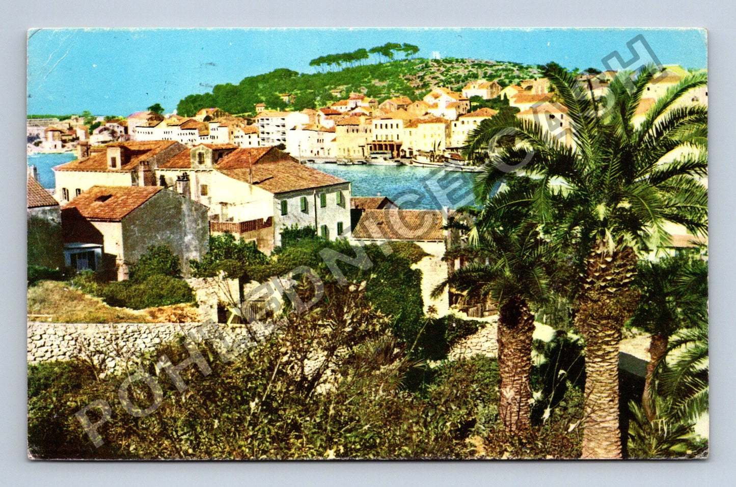 Pohlednice Mali Lošinj Chorvatsko 1964 (M38257)