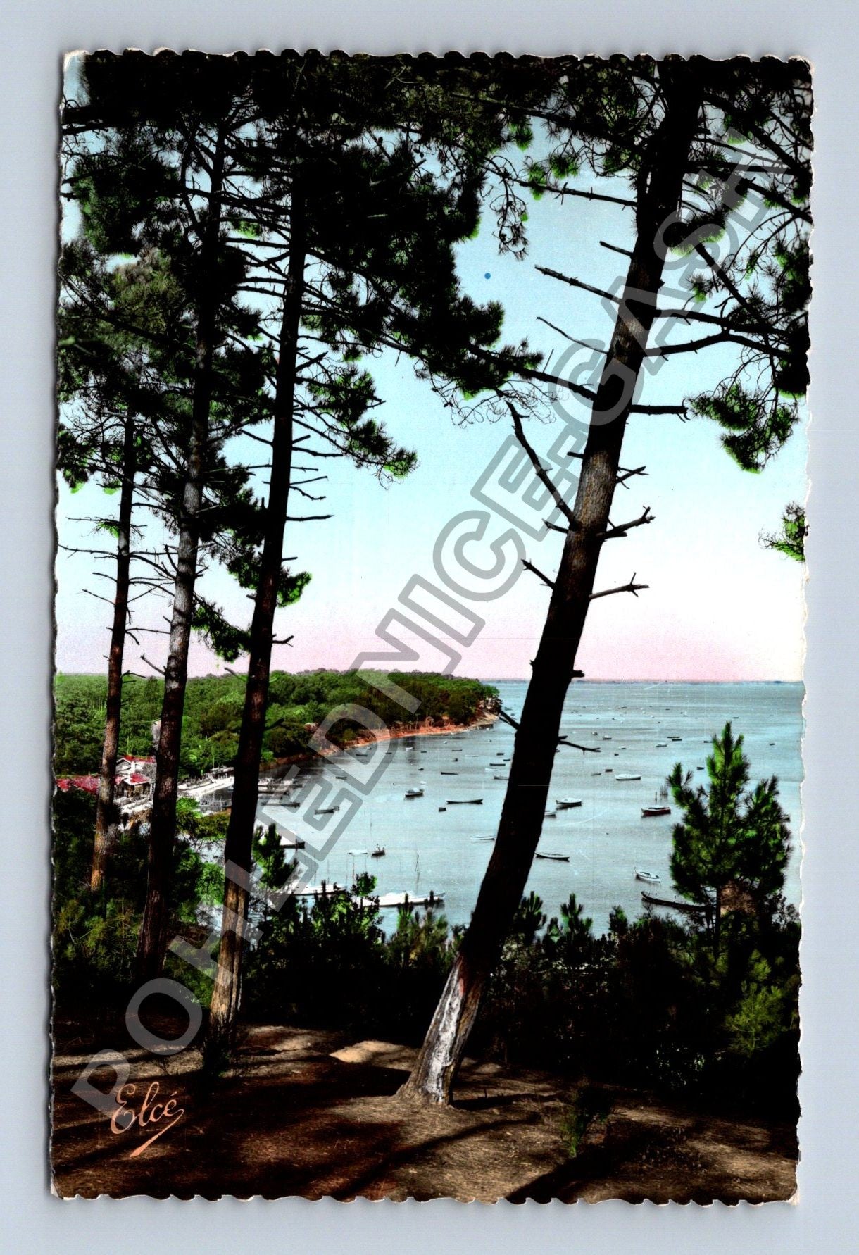 Pohlednice Francie Bassin dArcachon borovice lodě 1962 (M38260)