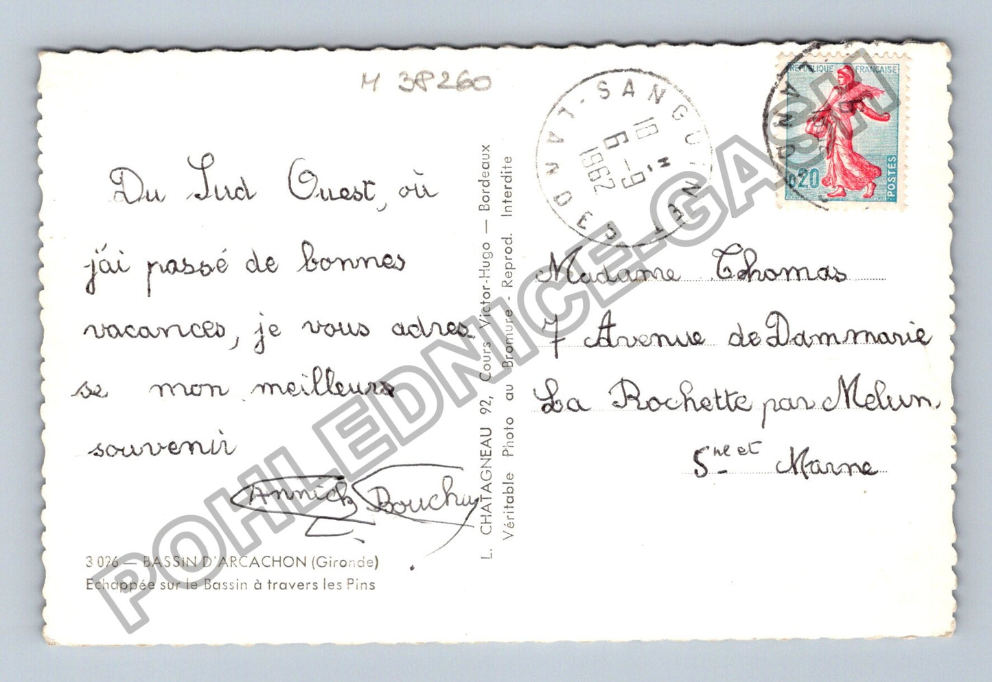 Pohlednice Francie Bassin dArcachon borovice lodě 1962 (M38260)