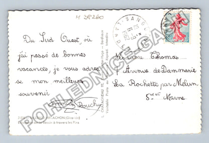 Pohlednice Francie Bassin dArcachon borovice lodě 1962 (M38260)