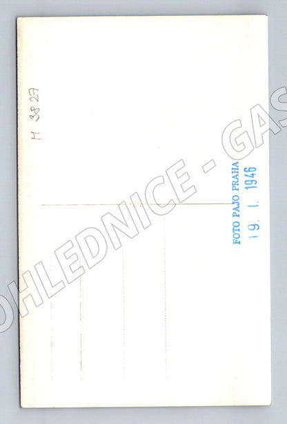 Pohlednice německý ovčák – portrét psa (M3827)