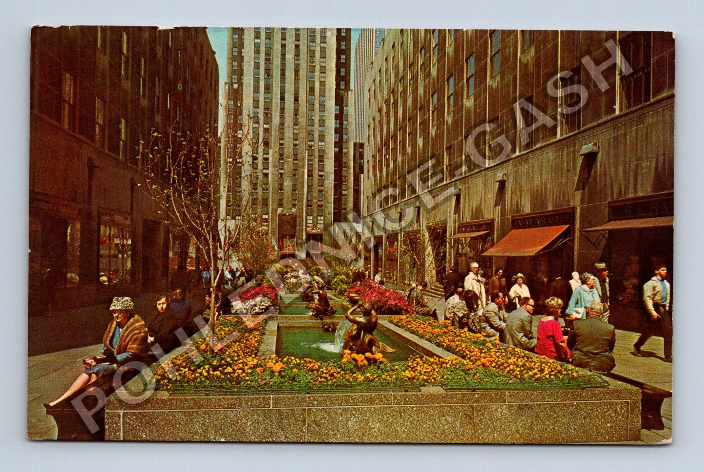 Pohlednice New York City Rockefeller Center Channel Gardens (M38278)