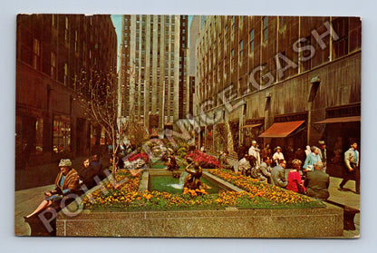 Pohlednice New York City Rockefeller Center Channel Gardens (M38278)