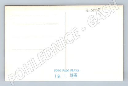 Pohlednice pes – Pajo Praha, černobílá (M3828)