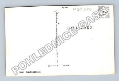 Pohlednice Severní Amerika Podzimní les s postavou (M38286)