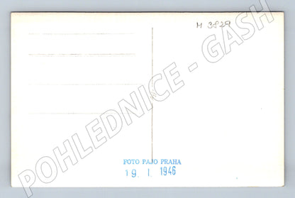 Pohlednice pes – Pajo Praha, sběratelský tisk (M3829)