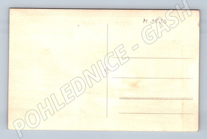 Pohlednice německý ovčák – starší motiv (M3830)