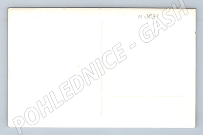 Pohlednice mladý vlčák – černobílý motiv (M3831)