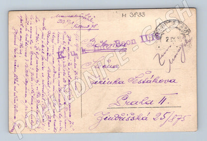 Pohlednice pes – k.u.k. polní pošta (M3833)