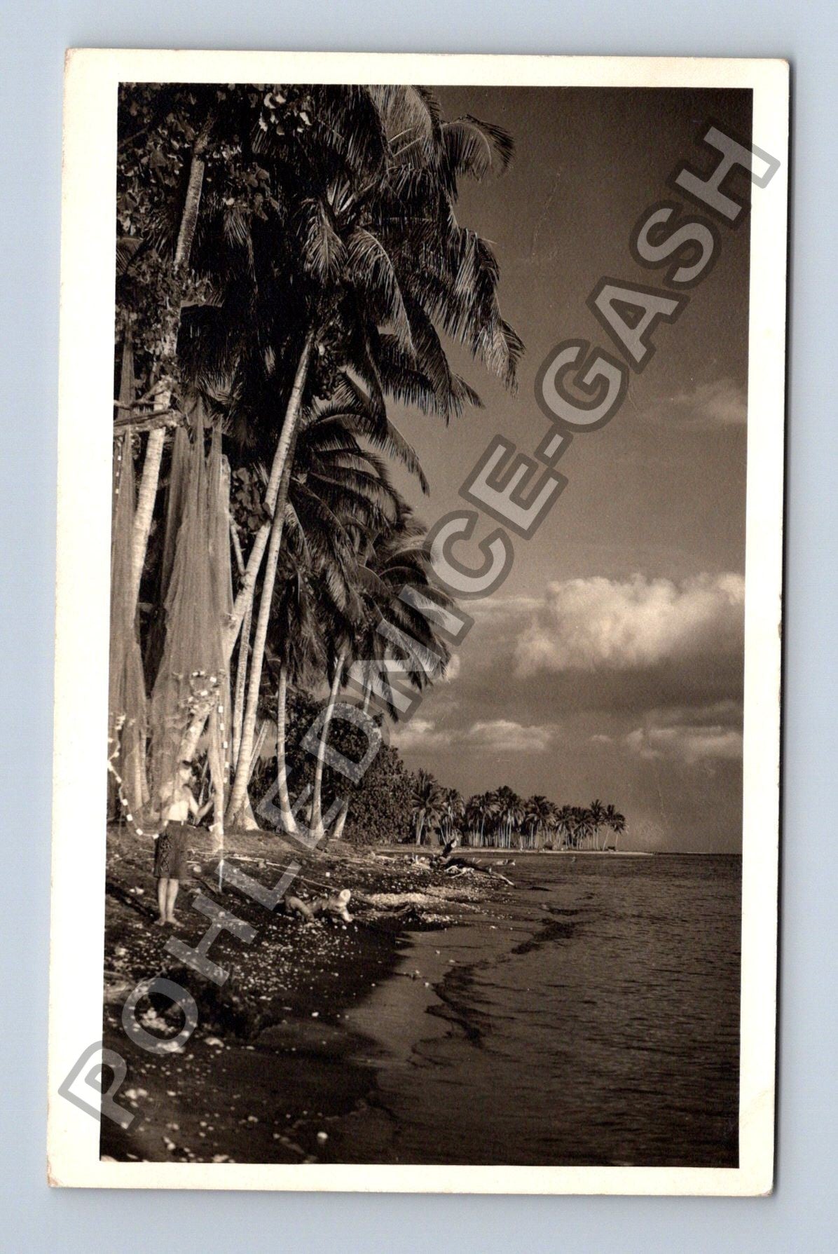 Pohlednice Tahiti pláž s palmami Vzpomínka 1936 (M38377)