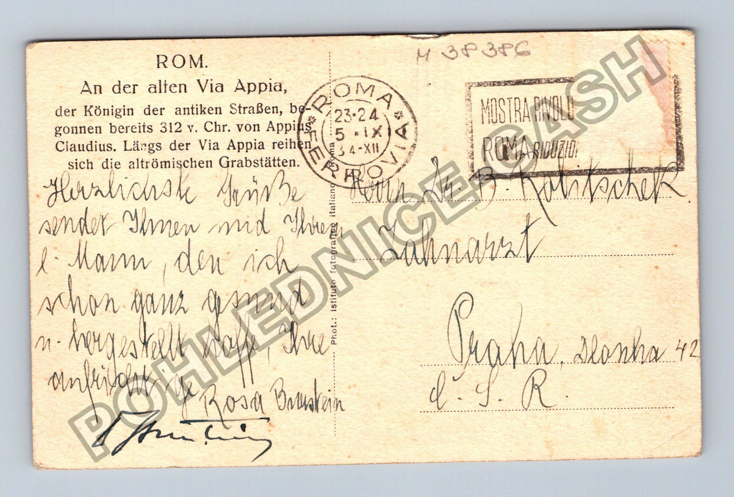 Pohlednice Itálie Řím Via Appia ovce pinie ruiny (M38386)