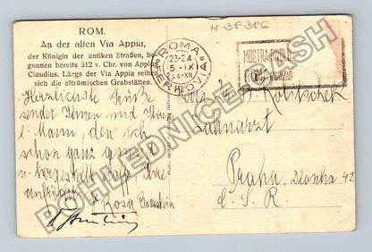 Pohlednice Itálie Řím Via Appia ovce pinie ruiny (M38386)