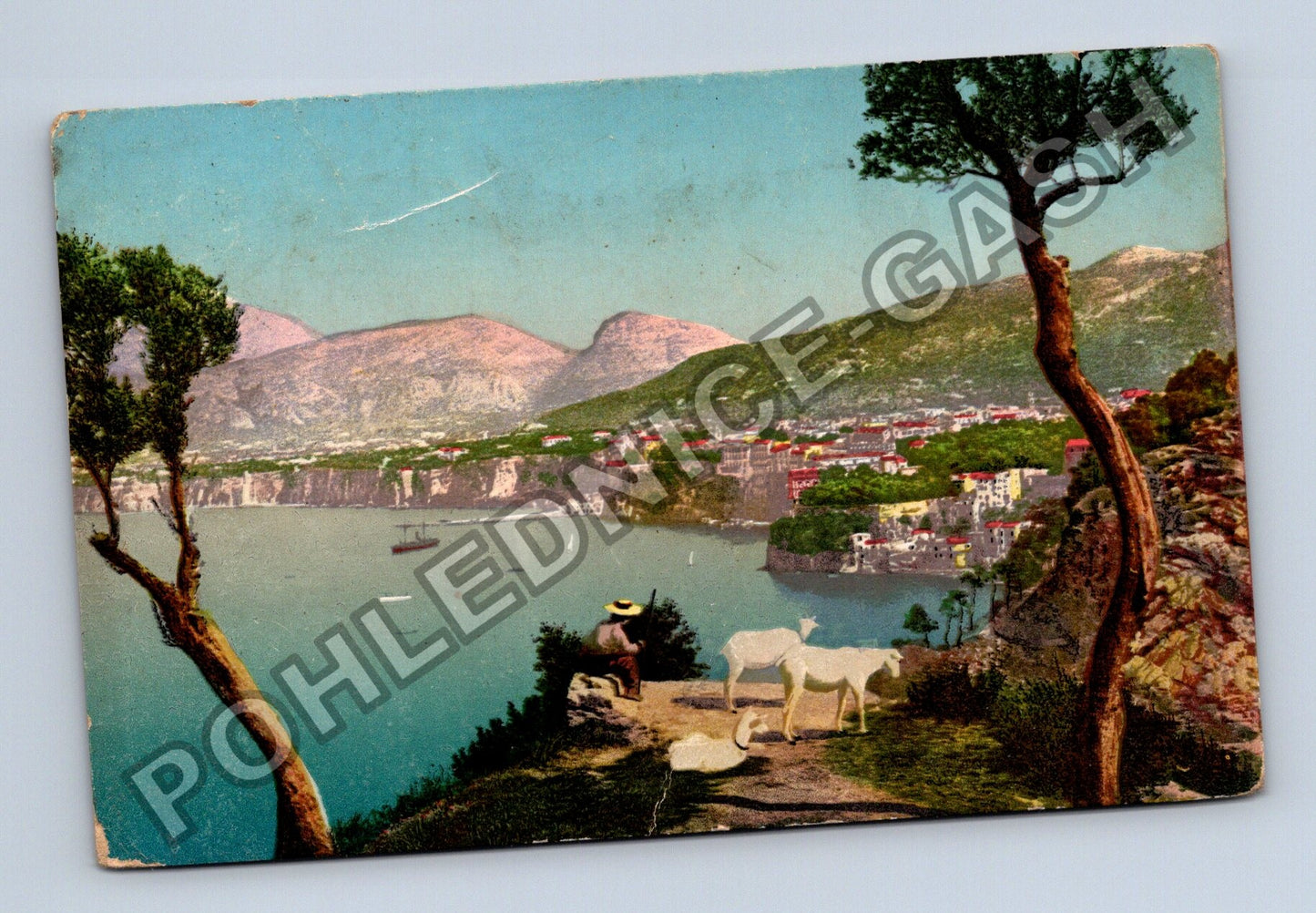 Pohlednice Itálie Sorrento pobřeží kozy (M38418)