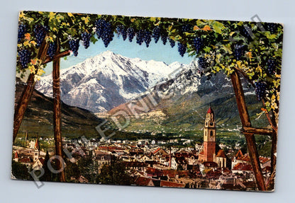 Pohlednice Itálie Merano Alpy vinice 1925 (M38426)