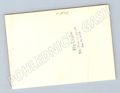 Pohlednice kozy na skále – Elly Teppe (M3843)