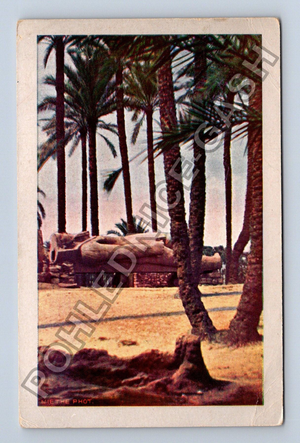 Pohlednice Egypt kolosální socha Ramsese palmy (M38432)