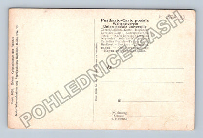 Pohlednice Egypt kolosální socha Ramsese palmy (M38432)