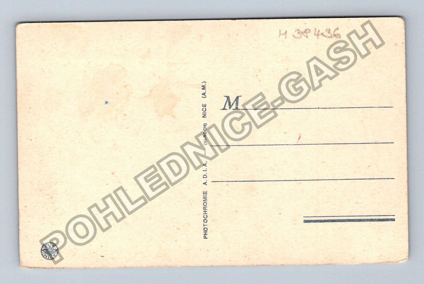 Pohlednice Francie Nice Les Jardins Fleurie en hiver (M38436)