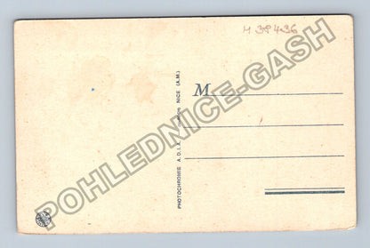 Pohlednice Francie Nice Les Jardins Fleurie en hiver (M38436)