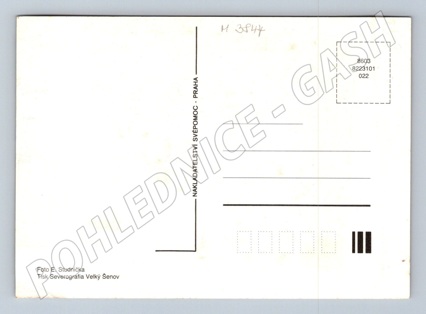 Pohlednice mladý králík na trávě (M3844)