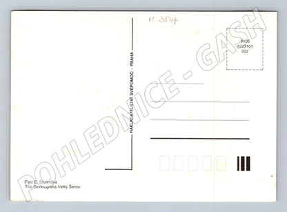 Pohlednice mladý králík na trávě (M3844)