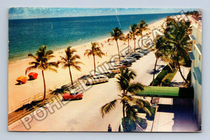 Pohlednice USA Fort Lauderdale pláž s palmami a auty 1965 (M38444)