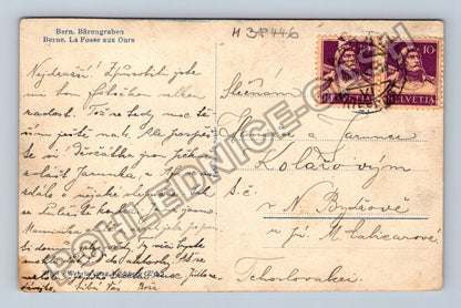 Pohlednice Švýcarsko Bern Bärengraben medvědi (M38446)