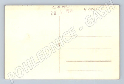 Pohlednice mláďata ptáků v hnízdě – černobílý motiv (M3846)