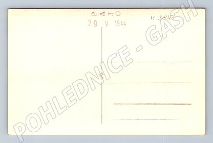 Pohlednice ruka sázející rostlinku – umělecká čb (M3847)