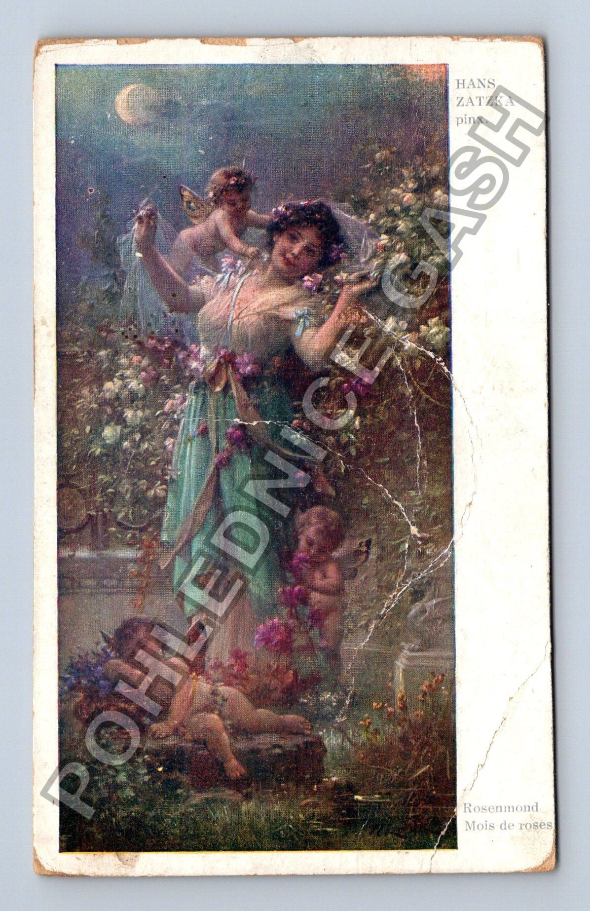 Pohlednice Hans Zatzka Rosamond Moise de roses (M38472)