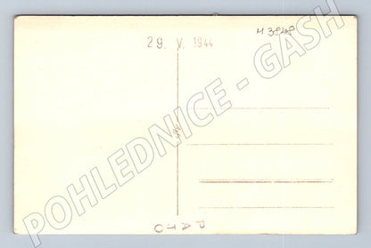 Pohlednice mláďata v hnízdě – černobílý motiv (M3848)