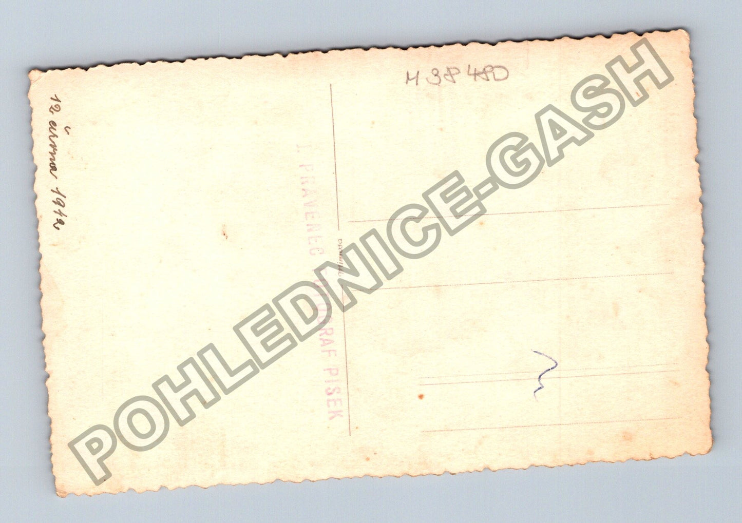 Stará fotografie Dívka v kroji s květinami ateliér Písek 1948 (M38480)