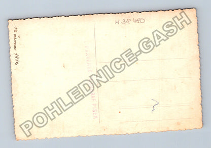 Stará fotografie Dívka v kroji s květinami ateliér Písek 1948 (M38480)