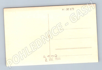 Pohlednice lední medvěd – černobílá (M3850)