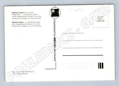 Pohlednice medvěd kodiak – Osveta Bratislava (M3851)