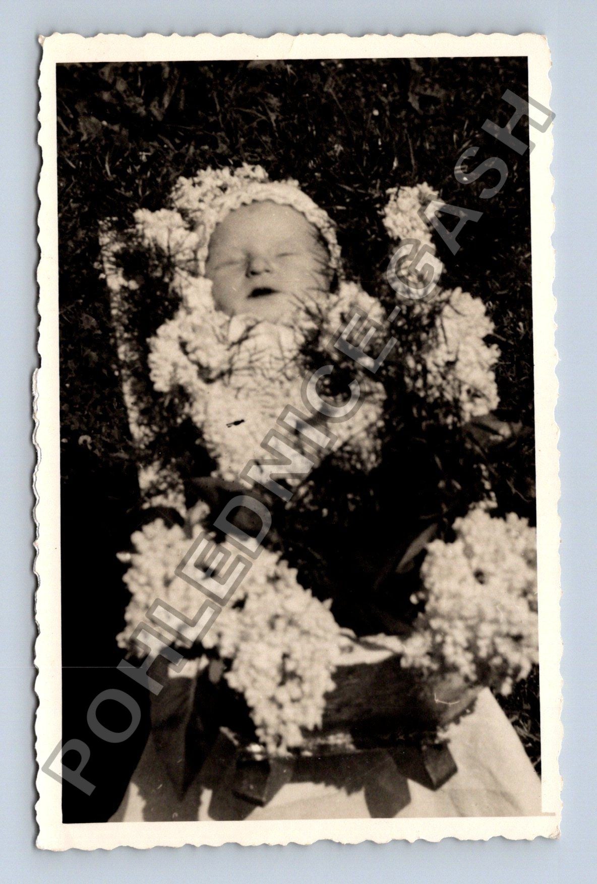Stará fotografie Dítě v košíku s květinami (M38514)
