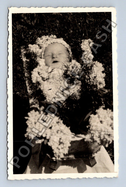 Stará fotografie Dítě v košíku s květinami (M38514)
