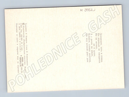 Pohlednice ledňáček – ruská ilustrace (M3852)